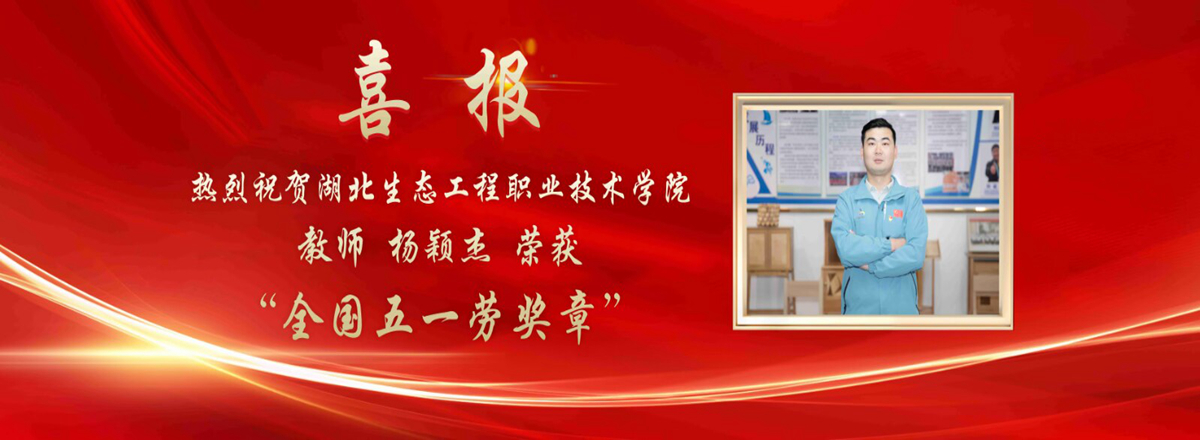 学校教师杨颖杰荣获全国五一劳动奖章