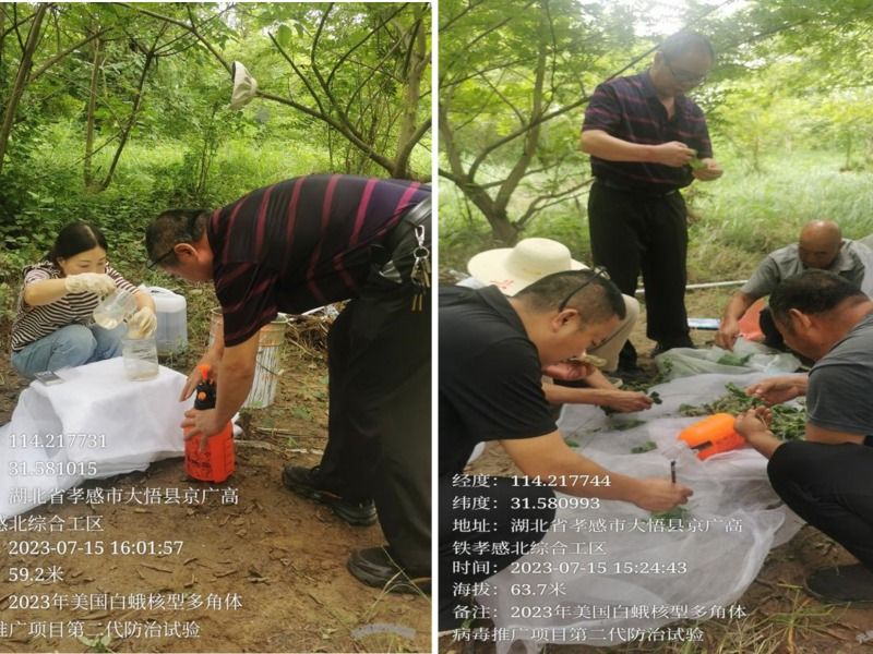图片1_副本.jpg