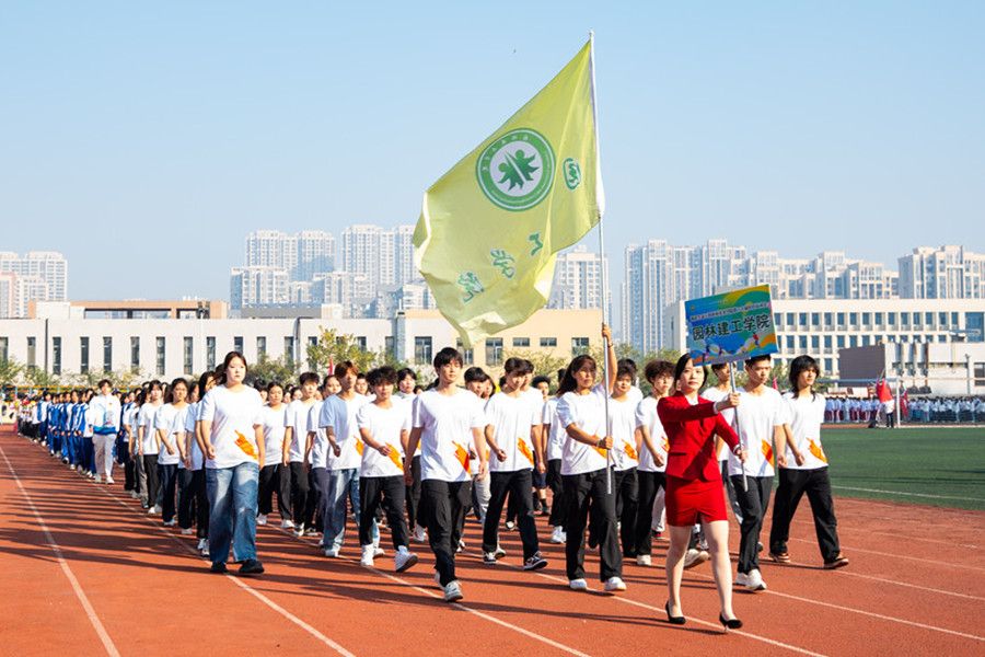 1762393946562677.jpg 2.jpg