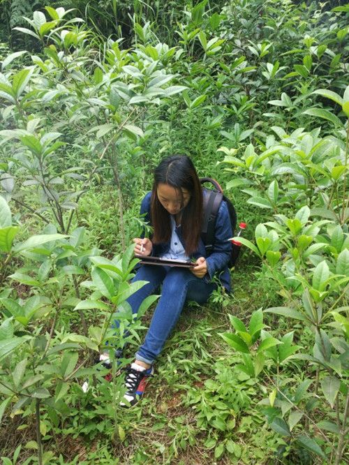 QQ图片20160620161840_副本.jpg