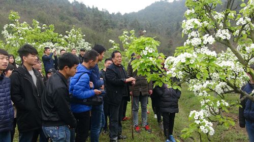 DSC00192_副本.jpg