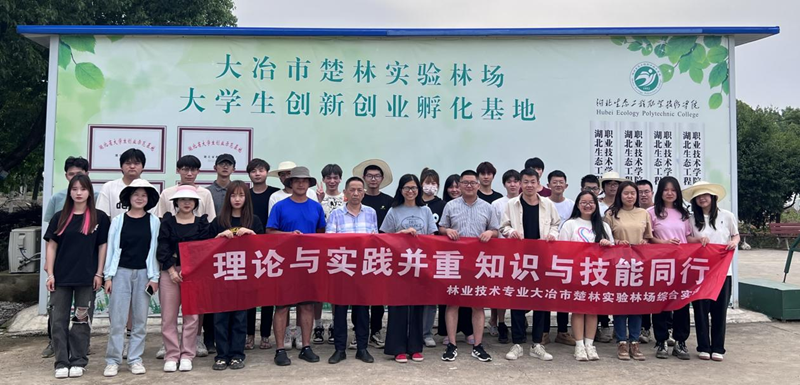 图片2_副本.png