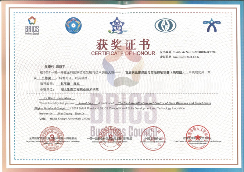 图片9_副本.png