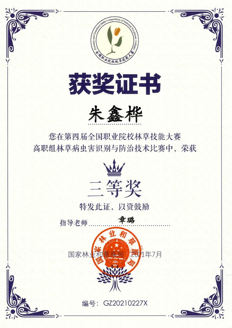 图片7.png