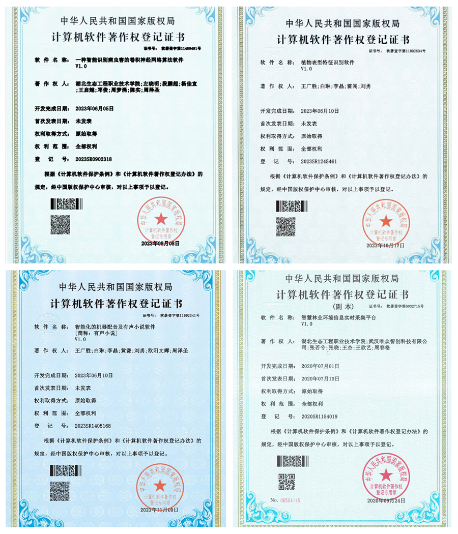 图片17_副本.png