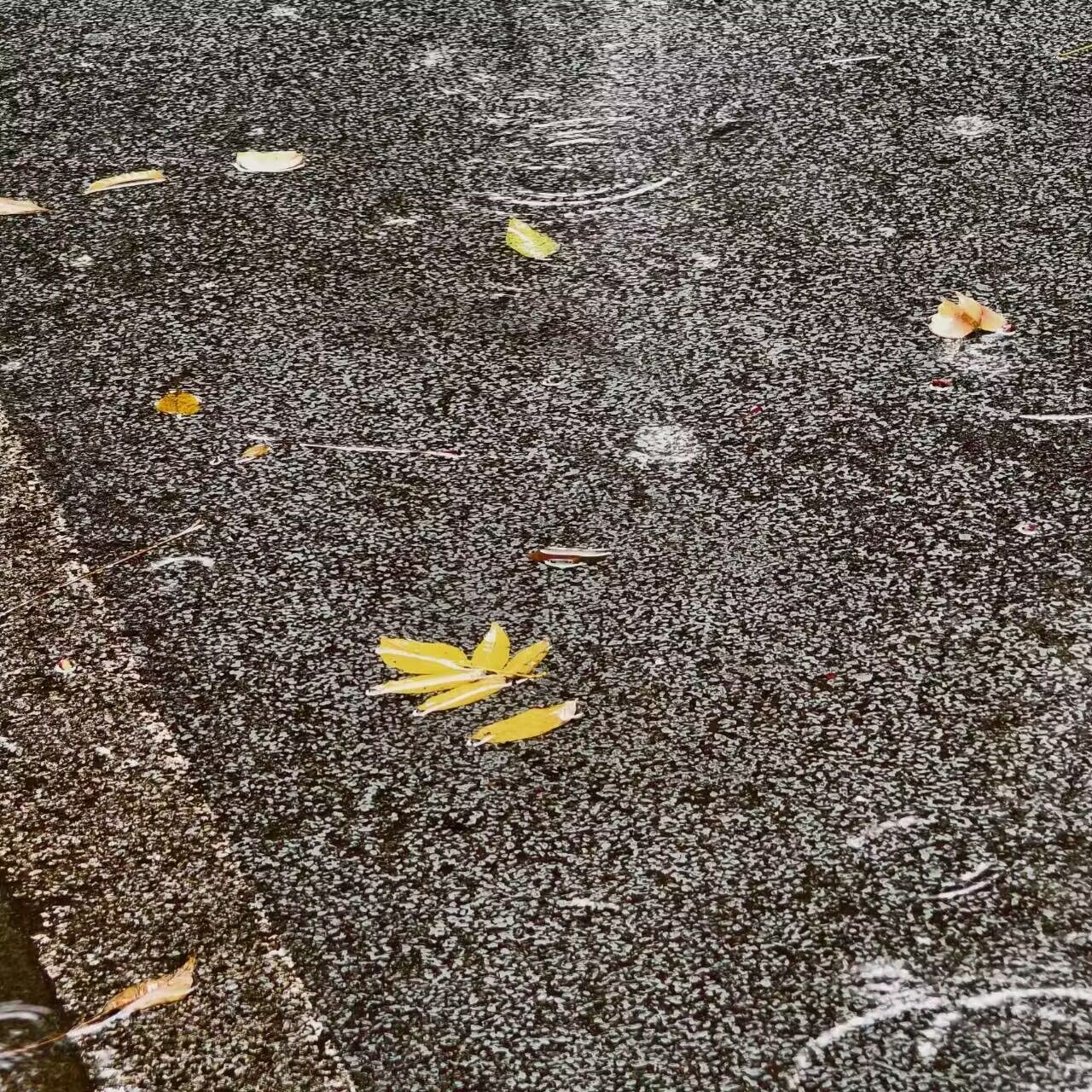1745590016756089.jpg