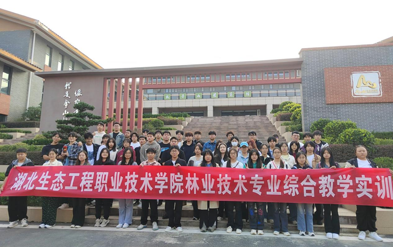 图片1_副本.png