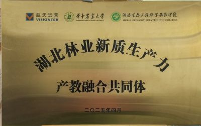 新质生产力_副本.jpg