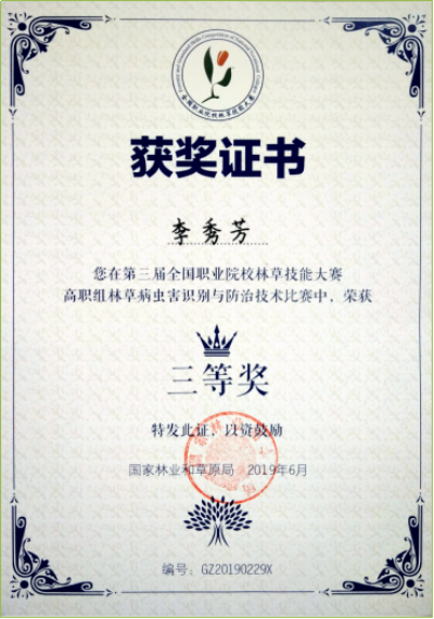 图片11_副本.png