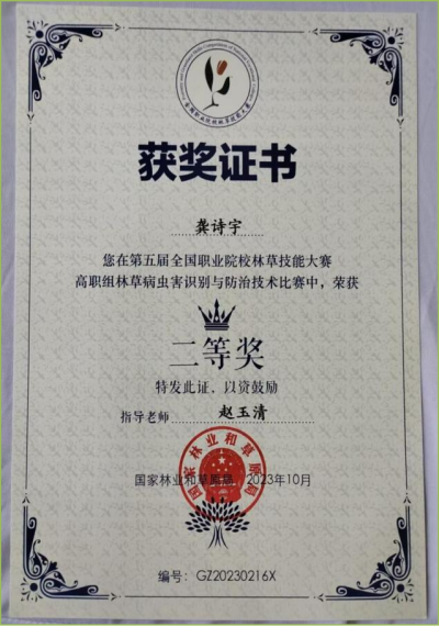 图片10_副本.png
