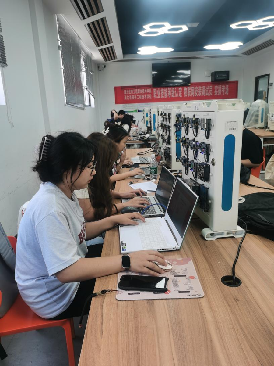 图片2_副本.png