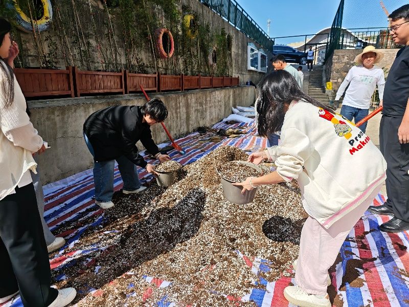 IMG_20250512_090326_副本.jpg