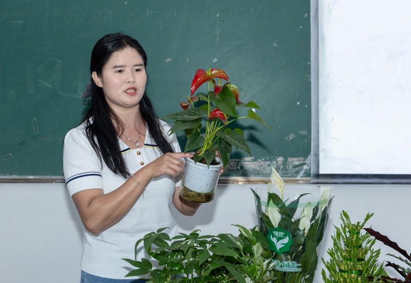 20250515花漾时光，植愈心灵出图3(1)_副本.jpg