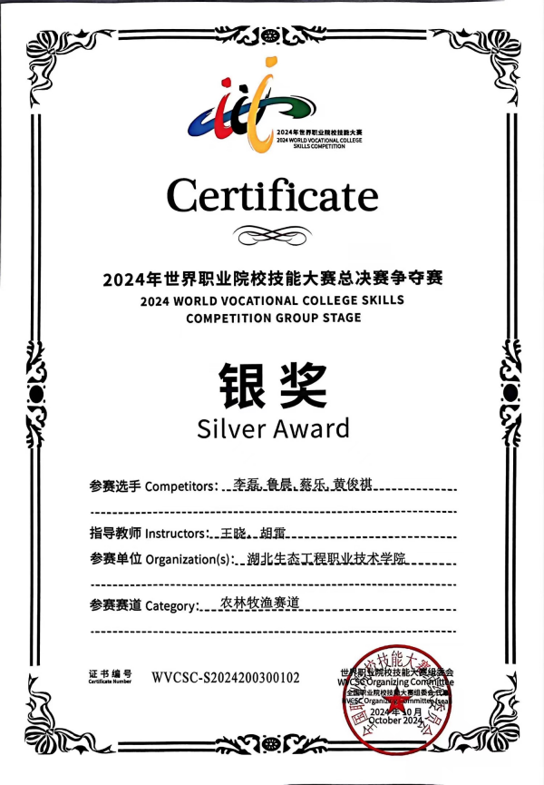 2024世界职业院校技能大赛总决赛银奖_副本.png