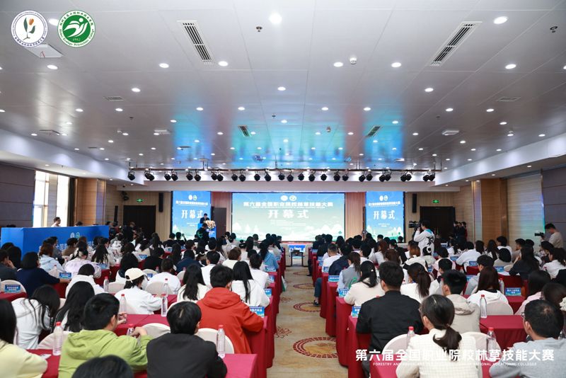 1761618402605250.jpg 2.jpg