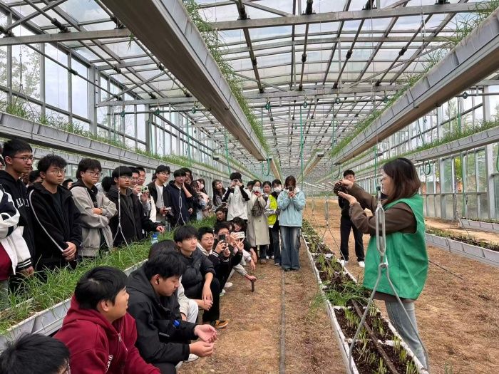 1763714482121222.jpg 1763714482121222.jpg