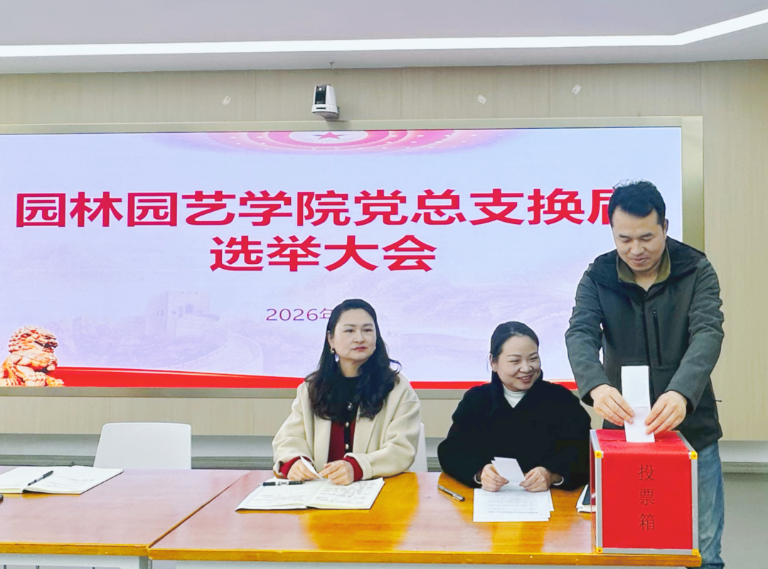 1772792950425524.png 11.png