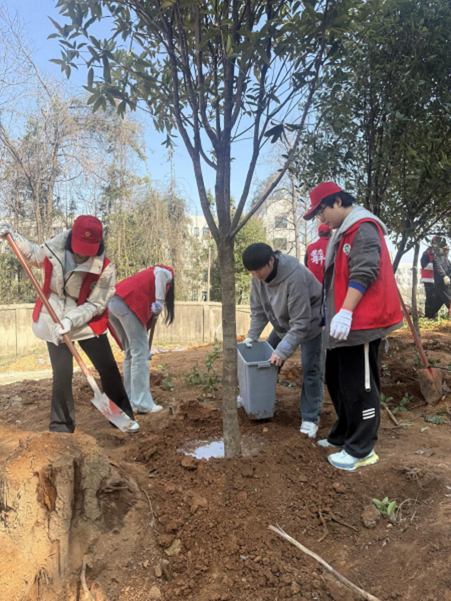 1773277959191427.png 图片2(1).png