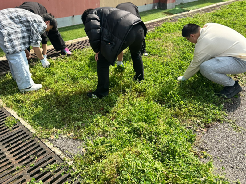 1775194735367538.png 上传格式.png