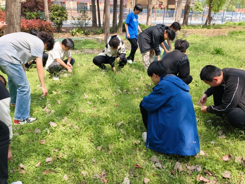 1776236489355203.jpg 上传格式2.jpg